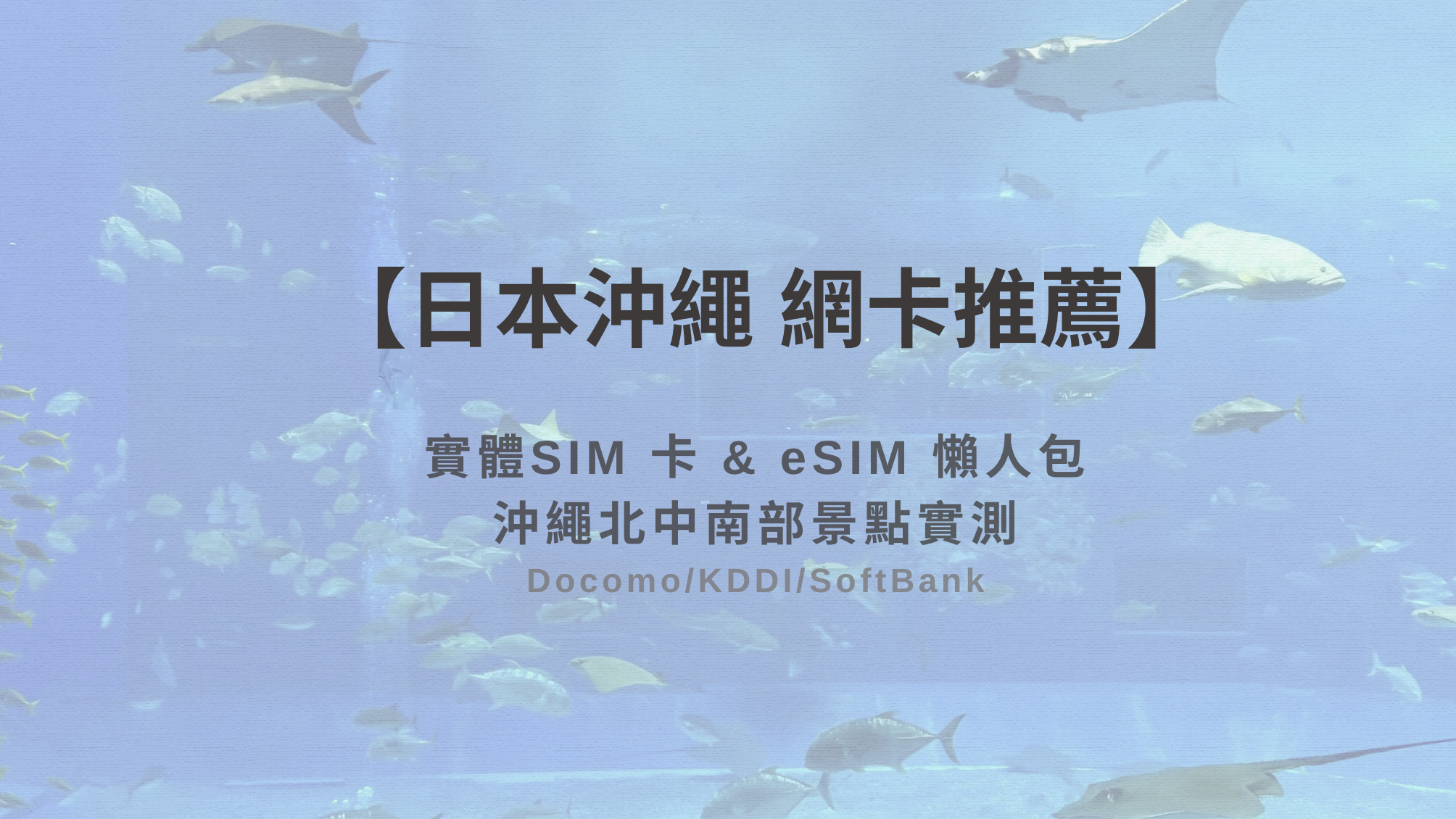 【沖繩網卡推薦】2026 沖繩上網 SIM 卡 & eSIM 選購懶人包